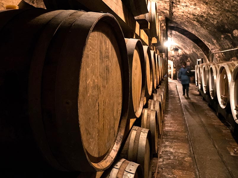 Inside a wine cellar